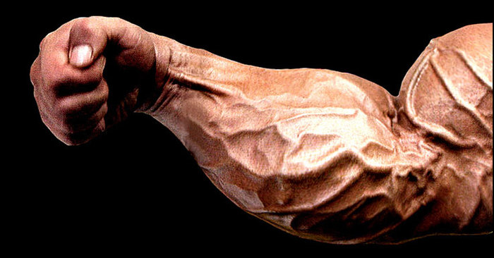 How To Build Massive Forearms Shredded Academy