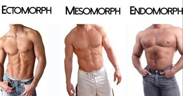 How to Train For Your Body Type – Shredded Academy