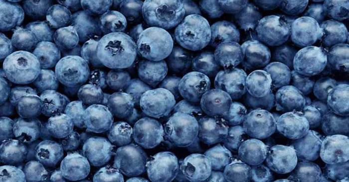 7 Foods To Boost Recovery