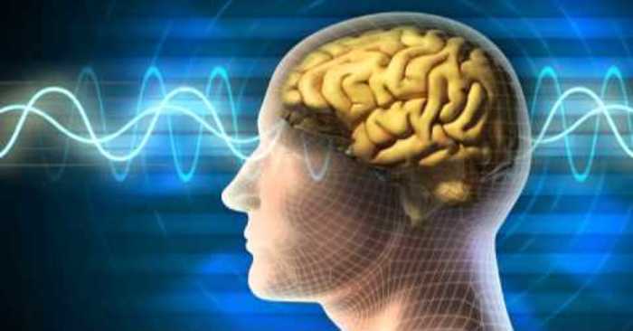 Here’s What Happens To Your Brain On Keto Diet