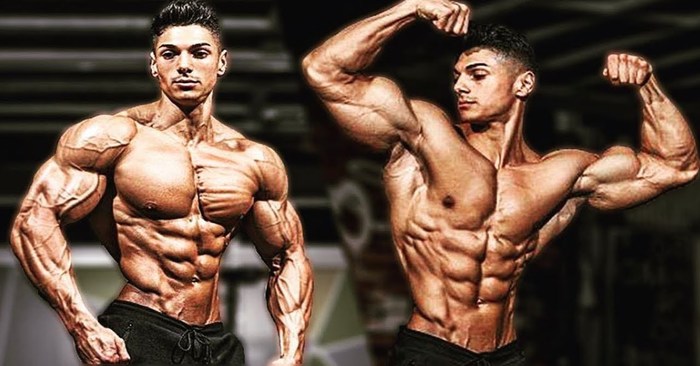 How the Shredded, Swole, Aesthetic, and Jacked Physiques Differ